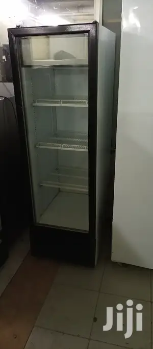 Upright Display Freezer