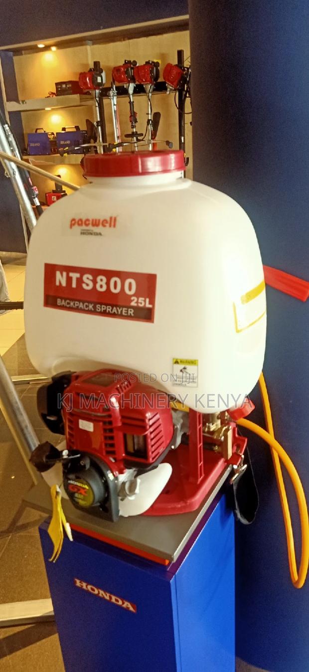 Engine Powered Backpack Sprayer - thumbnail 2