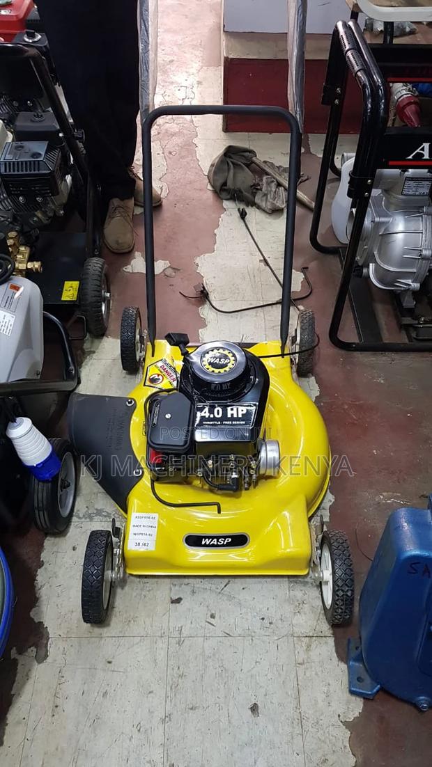 4HP Wasp Lawn Mower for Sale - main view
