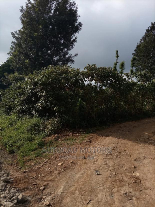 1/8 Plot With Title Banana-Kawaida - thumbnail 3