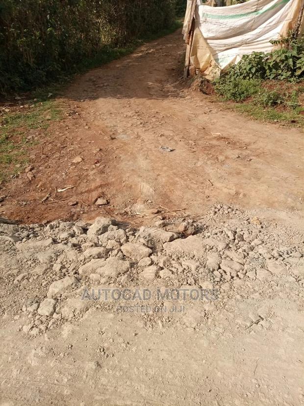 1/8 Plot With Title Banana-Kawaida - thumbnail 4