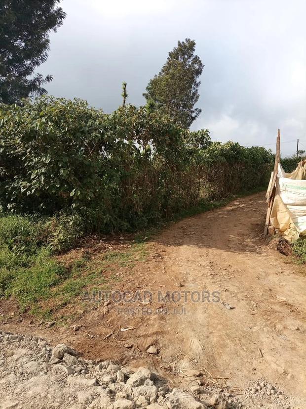 1/8 Plot With Title Banana-Kawaida - thumbnail 5