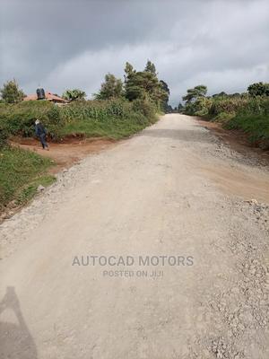 1/8 Plot With Title Banana-Kawaida - thumbnail 2