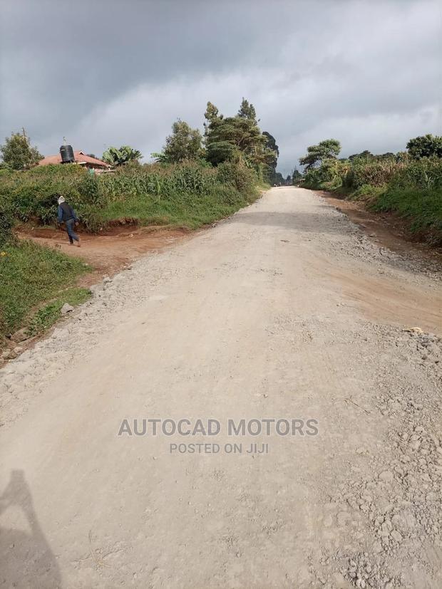 1/8 Plot With Title Banana-Kawaida - main view