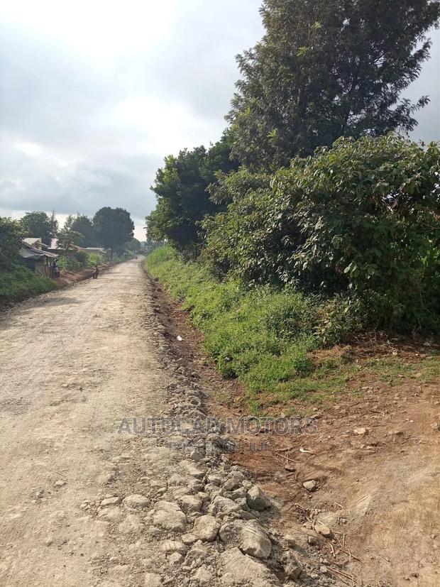 1/8 Plot With Title Banana-Kawaida - thumbnail 6