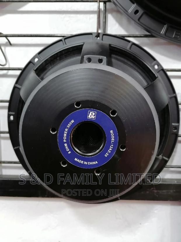 12 Inch BM Naked Speaker AZ20