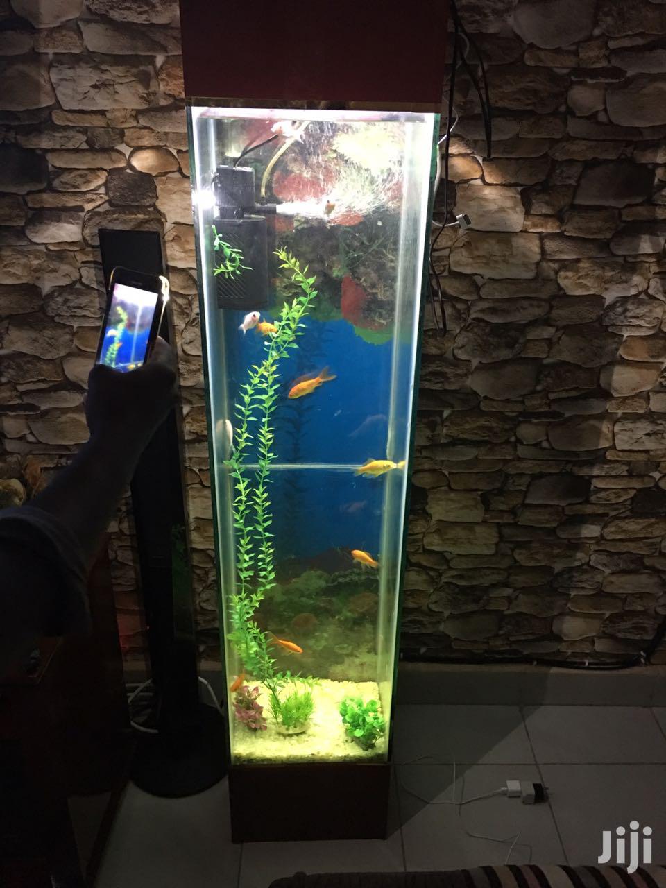 tower aquarium