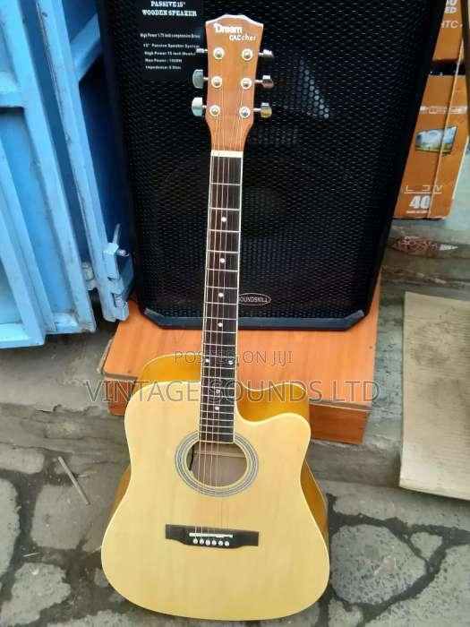 Semi Acoustic Guitar