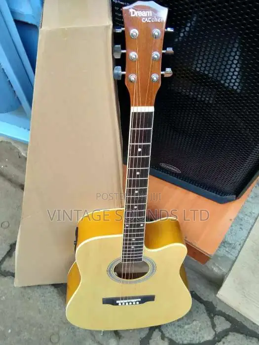 Semi Acoustic Guitar