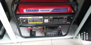 Tamashii 7.0kva Japan Petrol Generator Tm8000e