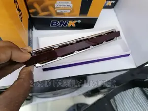 Swan Harmonica 24 Holes