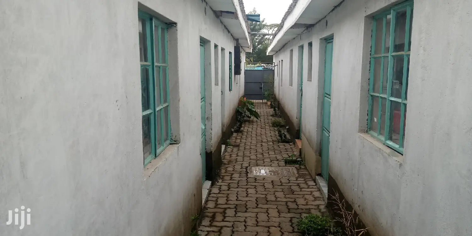 Studio Apartment in Langata for rent