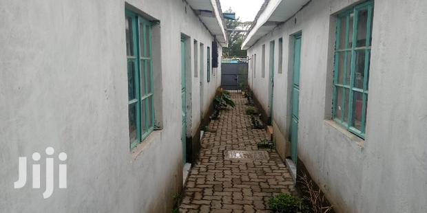 Studio Apartment in Langata for rent - thumbnail 6