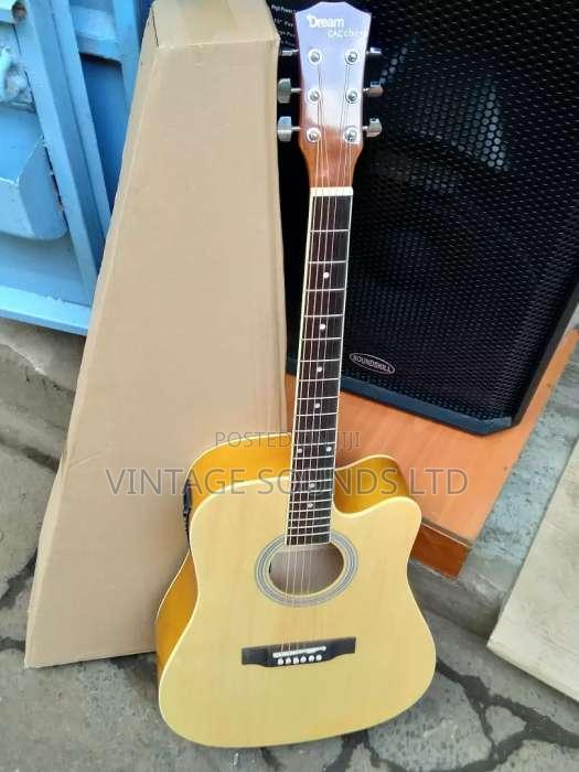 Semi Acoustic Box Guitar