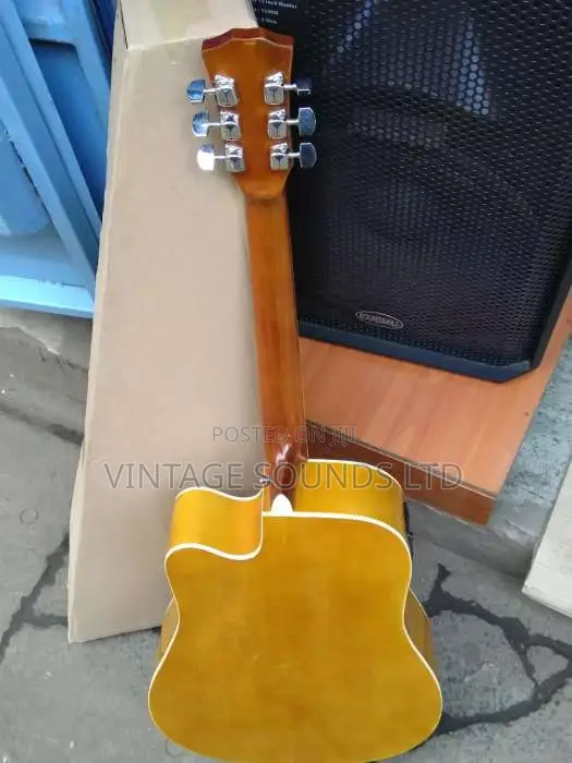 Semi Acoustic Box Guitar