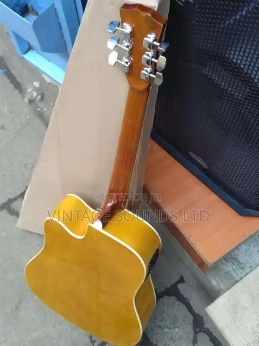 Semi Acoustic Box Guitar