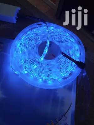 Snake Light