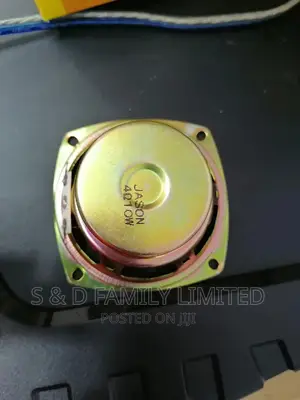 3 Inch Naked Speaker