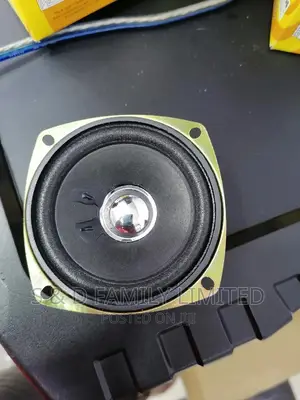 3 Inch Naked Speaker