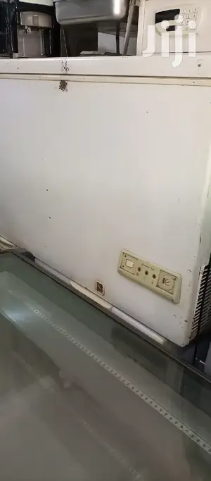 450L Deep Freezer