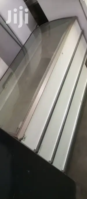 Display Freezer 600L