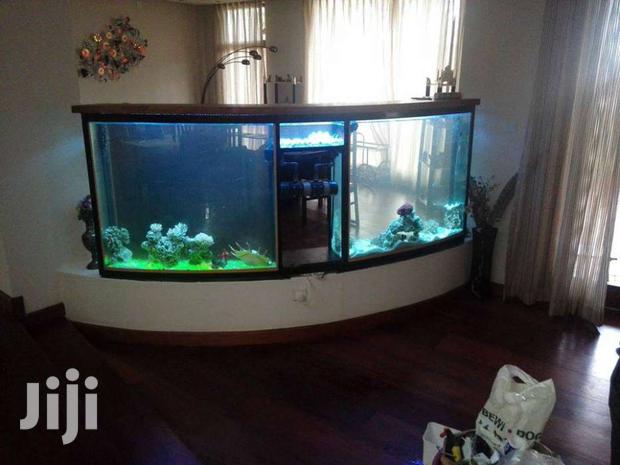 Large & Small Aquariums, Ponds And Water Features