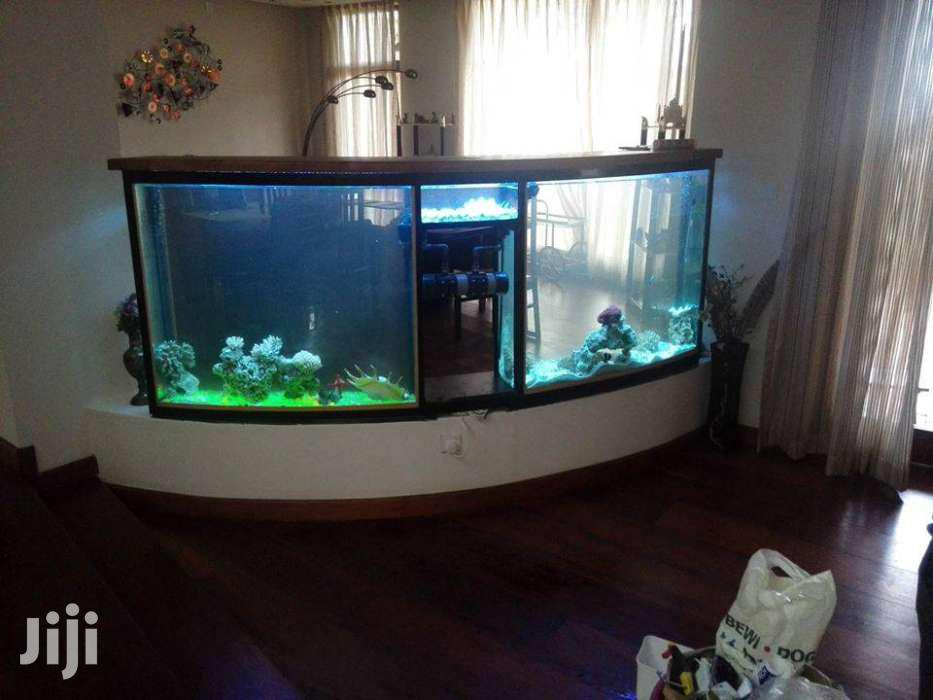 Large & Small Aquariums, Ponds And Water Features