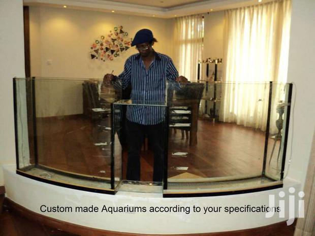 Large & Small Aquariums, Ponds And Water Features - thumbnail 2