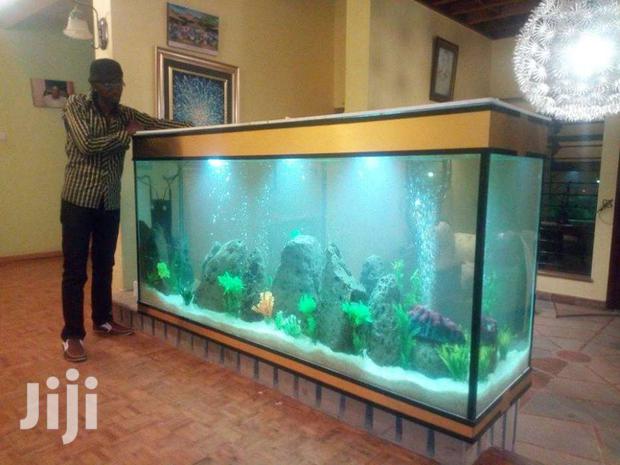 Large & Small Aquariums, Ponds And Water Features - thumbnail 4
