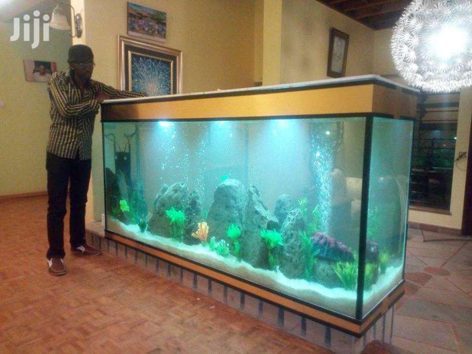 Large & Small Aquariums, Ponds And Water Features