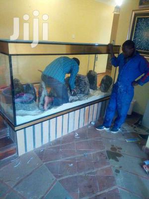 Large & Small Aquariums, Ponds And Water Features
