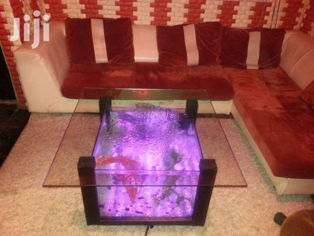 Large & Small Aquariums, Ponds And Water Features - thumbnail 9
