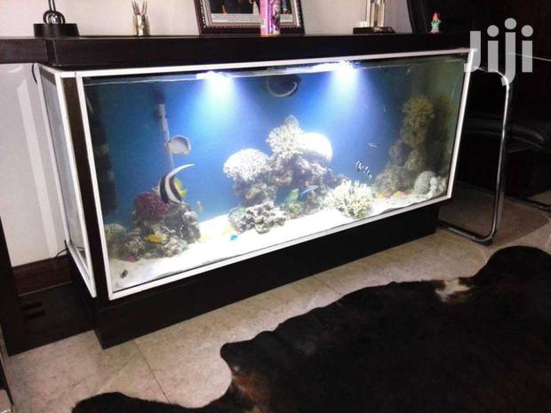 Large & Small Aquariums, Ponds And Water Features - thumbnail 10