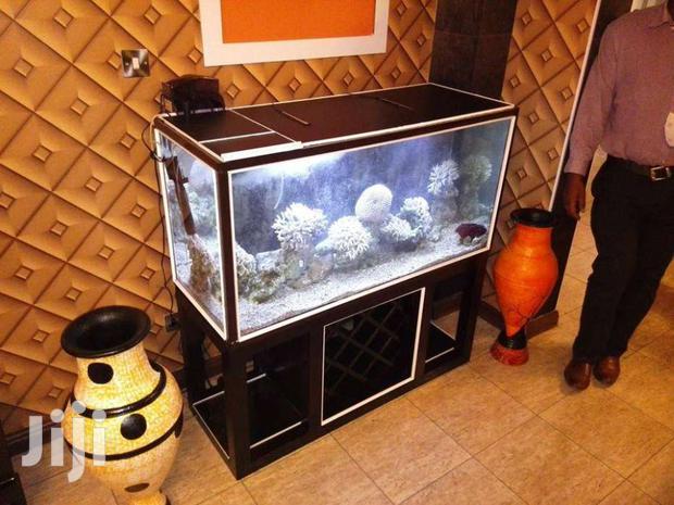 Large & Small Aquariums, Ponds And Water Features - thumbnail 11