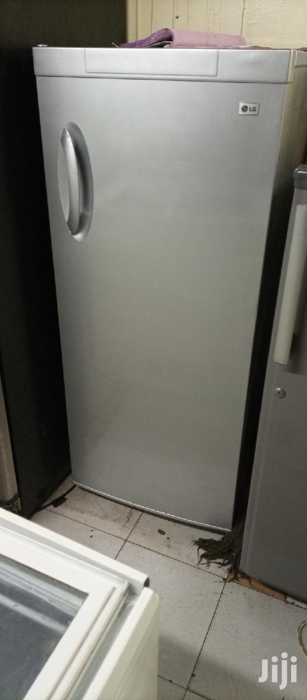 Big Single Door LG - main view