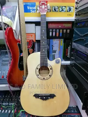Delsi Acoustic Guitar Available