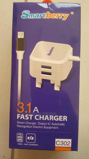 Type C Fast Charger - main view