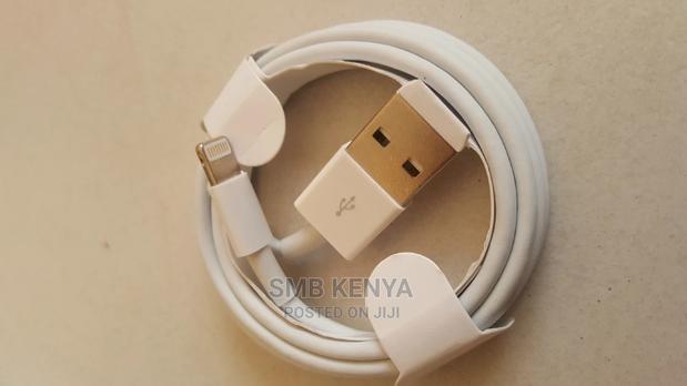 Original iPhone Usb Cable - main view
