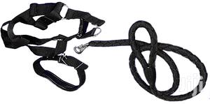 Dog Leash, Harness And Collar Set - thumbnail 2