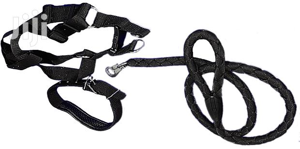 Dog Leash, Harness And Collar Set - main view