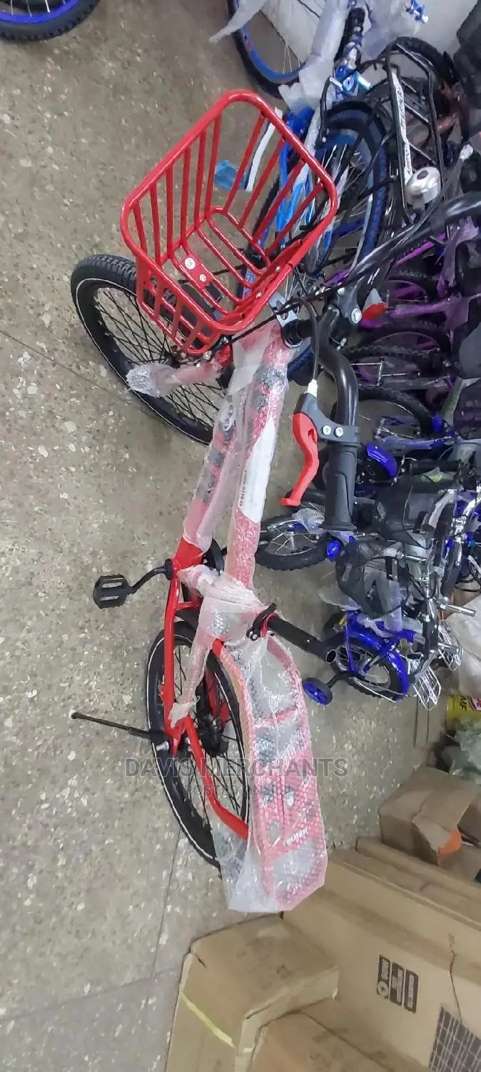Three Gun Size 20 Bicycle