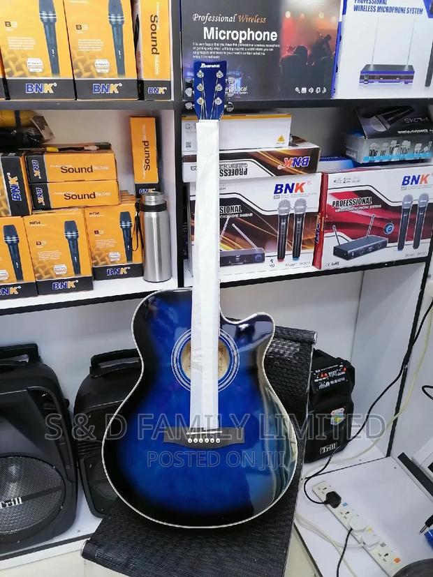 Ibanez Acoustic Guitar - main view