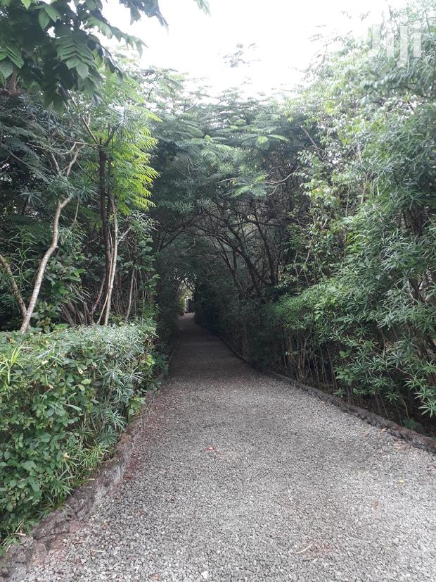 For Sale 3 Bedrooms Bungalow - thumbnail 4