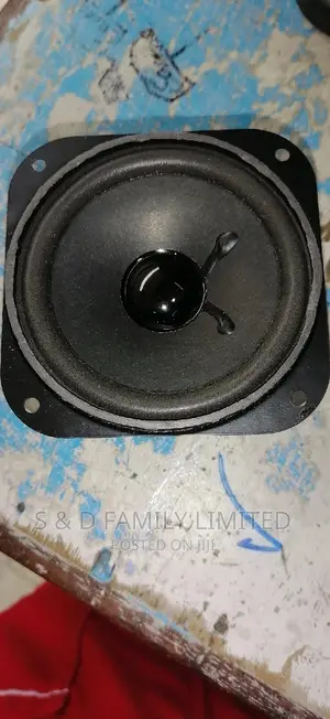 4 Inch Woffer Speaker
