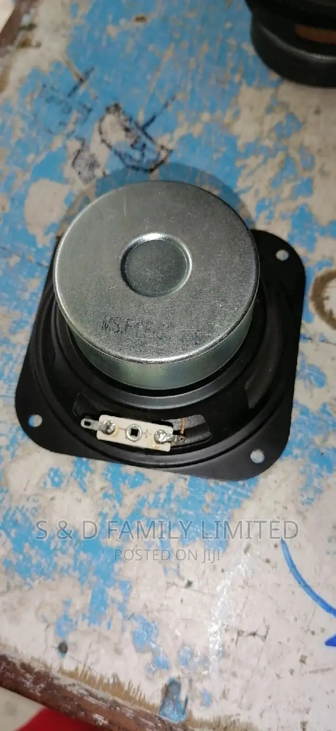 4 Inch Woffer Speaker