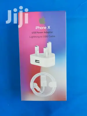 iPhone Original Charger