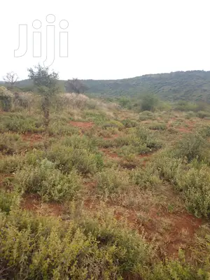 10 Acres Serachi Road at 190k Per Acre