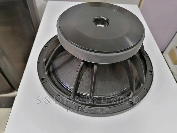 12 Inch Linearray Naked Speaker - main view