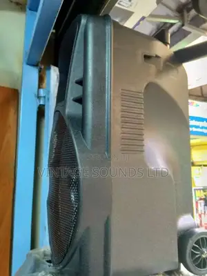 Powered Portable Speaker Pm12