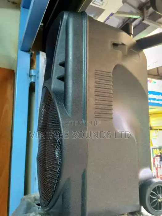 Powered Portable Speaker Pm12